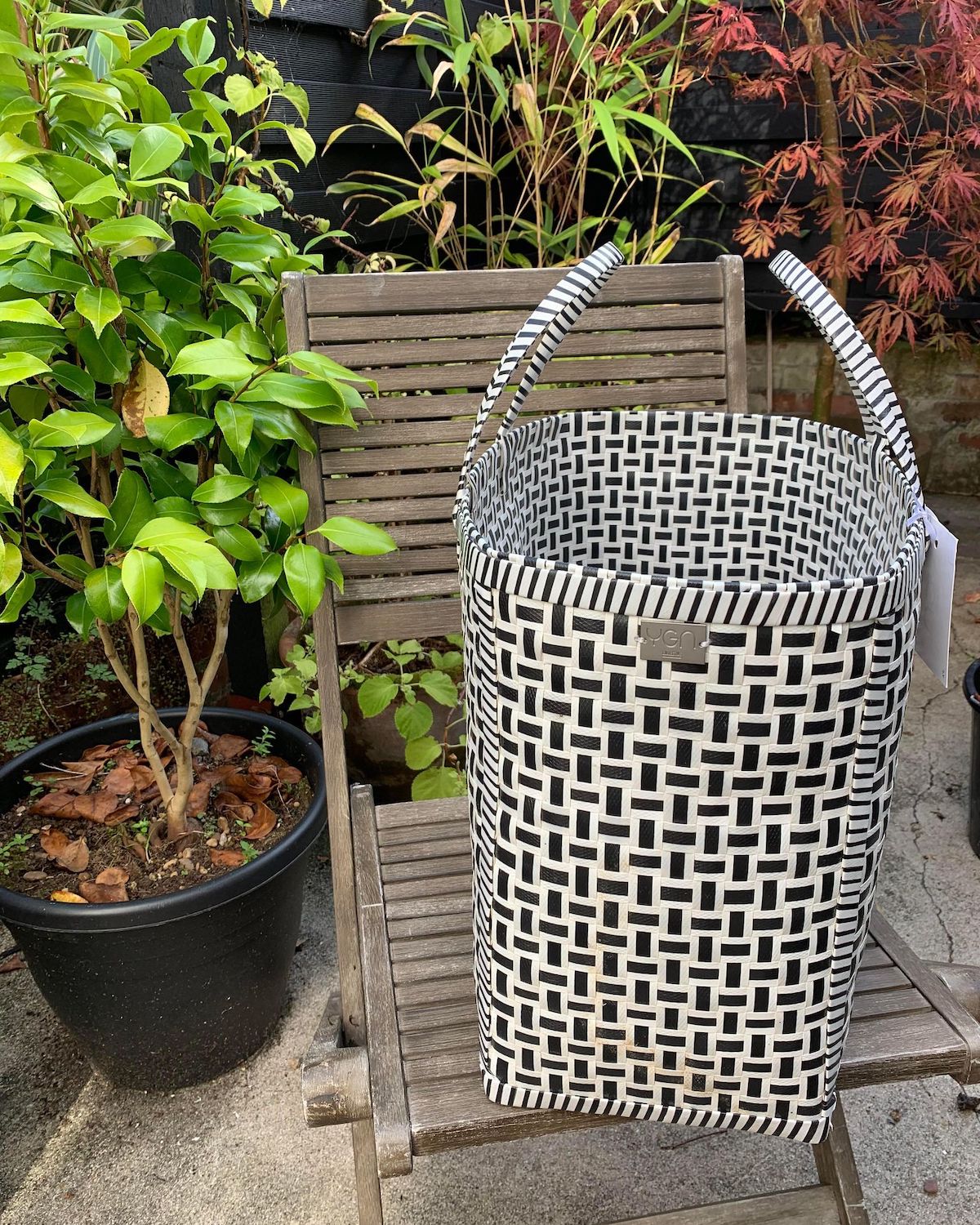 Basket in Black & White, Shopping Basket