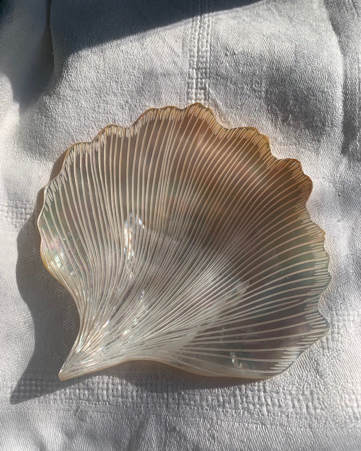 Mother of Pearl Shell Dish for Trinkets or Caviar | Decorative Dish | Handmade in Myanmar - YGN Collective