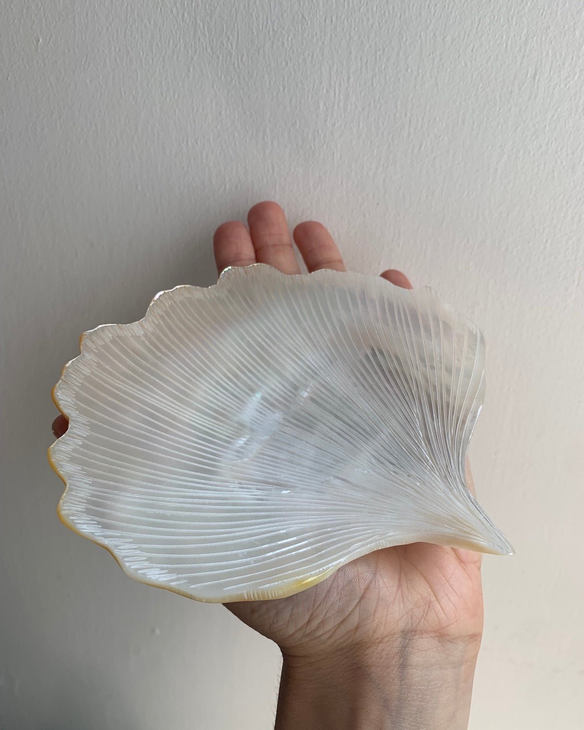 Mother of Pearl Shell Dish for Trinkets or Caviar